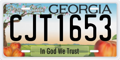 GA license plate CJT1653