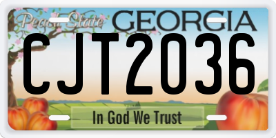 GA license plate CJT2036
