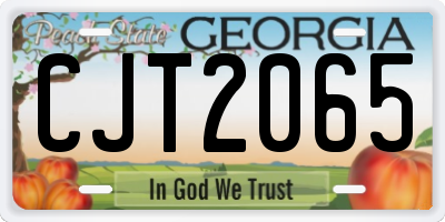 GA license plate CJT2065