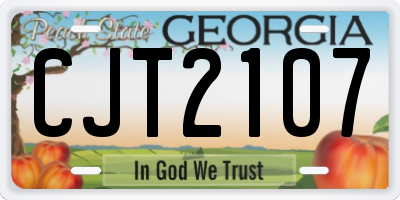 GA license plate CJT2107