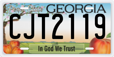 GA license plate CJT2119