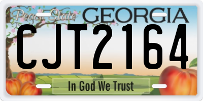 GA license plate CJT2164