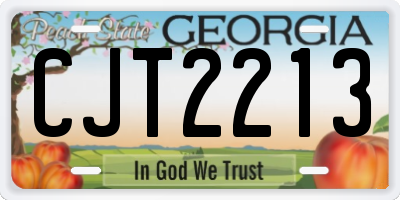 GA license plate CJT2213