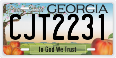 GA license plate CJT2231