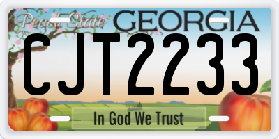 GA license plate CJT2233