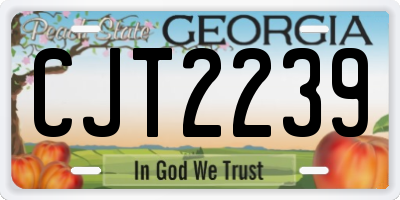 GA license plate CJT2239