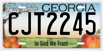 GA license plate CJT2245