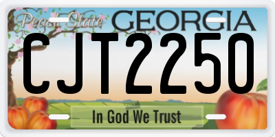 GA license plate CJT2250