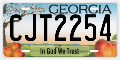 GA license plate CJT2254
