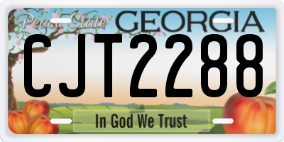 GA license plate CJT2288