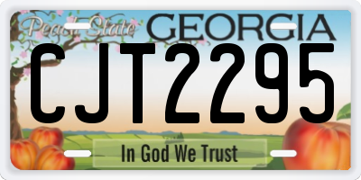GA license plate CJT2295