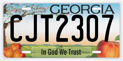 GA license plate CJT2307