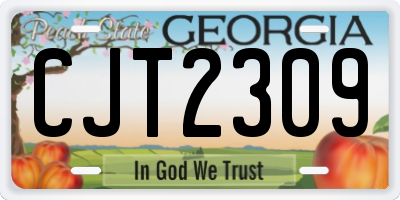 GA license plate CJT2309