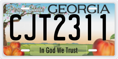 GA license plate CJT2311