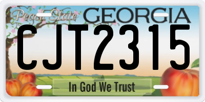 GA license plate CJT2315