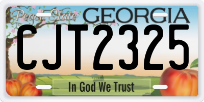 GA license plate CJT2325