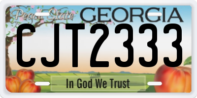 GA license plate CJT2333