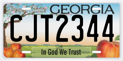 GA license plate CJT2344