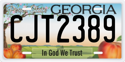 GA license plate CJT2389