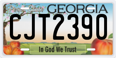 GA license plate CJT2390