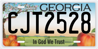 GA license plate CJT2528