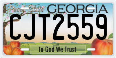 GA license plate CJT2559