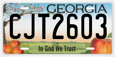 GA license plate CJT2603