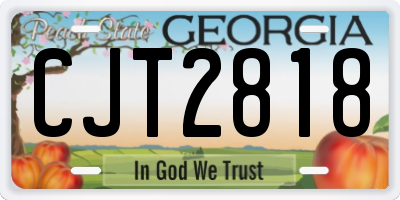 GA license plate CJT2818