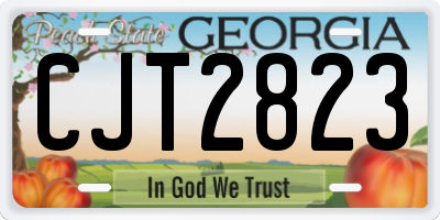 GA license plate CJT2823