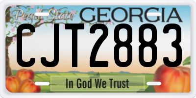 GA license plate CJT2883