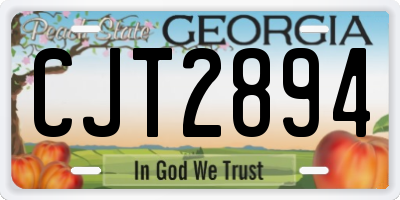 GA license plate CJT2894