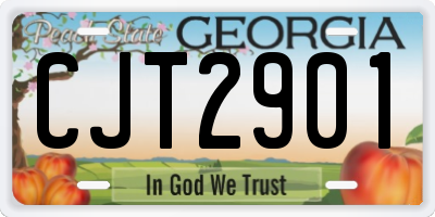 GA license plate CJT2901
