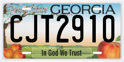 GA license plate CJT2910
