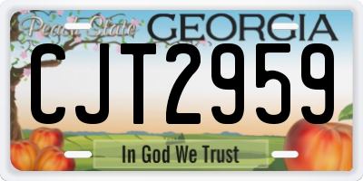 GA license plate CJT2959