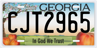 GA license plate CJT2965