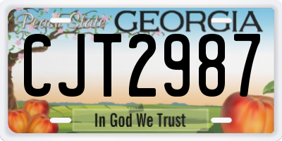 GA license plate CJT2987