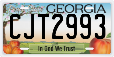 GA license plate CJT2993