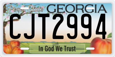 GA license plate CJT2994