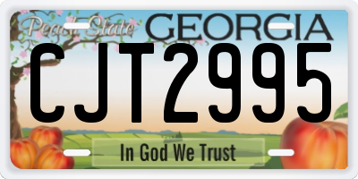 GA license plate CJT2995