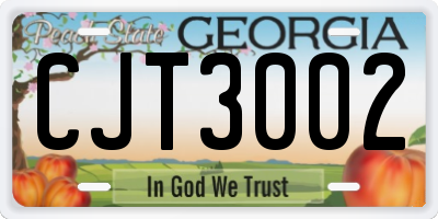 GA license plate CJT3002