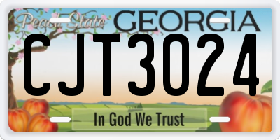 GA license plate CJT3024