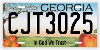 GA license plate CJT3025