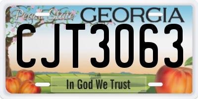 GA license plate CJT3063