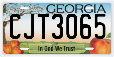 GA license plate CJT3065