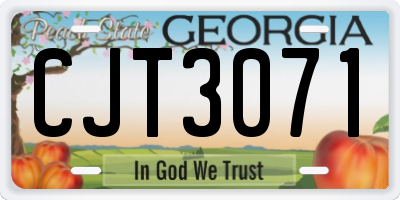 GA license plate CJT3071