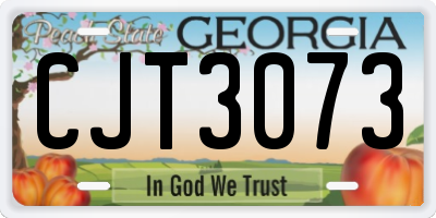 GA license plate CJT3073