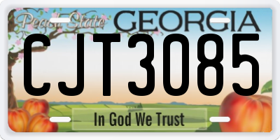 GA license plate CJT3085