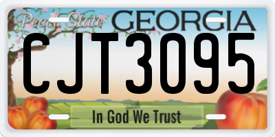 GA license plate CJT3095