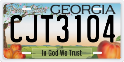 GA license plate CJT3104