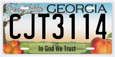 GA license plate CJT3114
